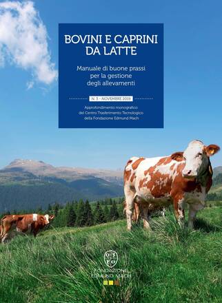 Immagine: Bovini e caprini da latte