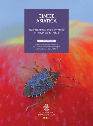 Immagine: Cimice asiatica