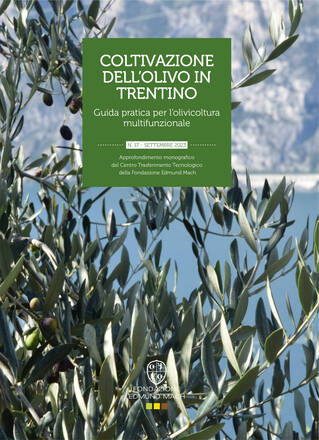 Immagine: Coltivazione dell'olivo in Trentino