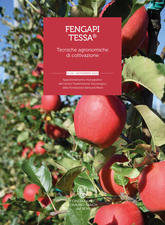 Immagine: Fengapi Tessa®