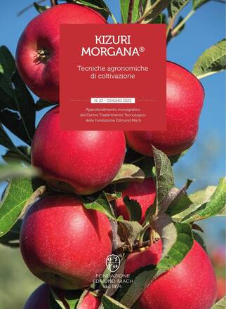 Immagine: Kizuri Morgana®