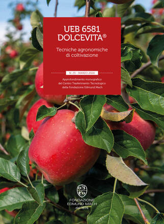 Immagine: UEB 6581 Dolcevita®