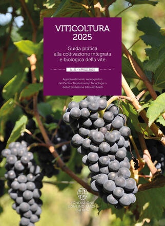 Immagine: Viticoltura 2025