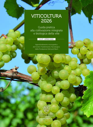 Immagine: Viticoltura 2026