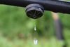 Immagine decorativa per il contenuto La gestione dell'acqua ad uso irriguo