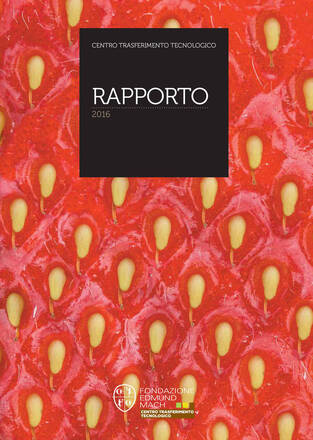 Immagine: Rapporto CTT 2016