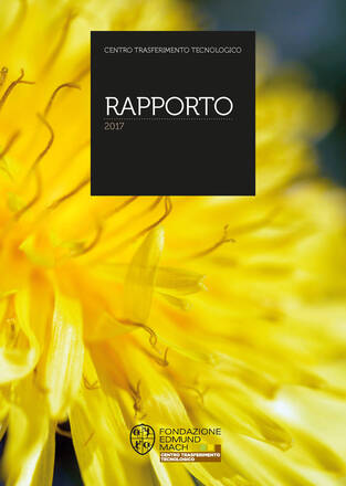 Immagine: Rapporto CTT 2017