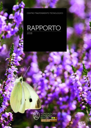 Immagine: Rapporto CTT 2018