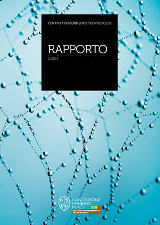 Immagine: Rapporto CTT 2020