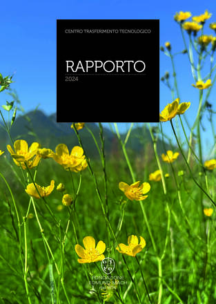 Immagine: Rapporto CTT 2024