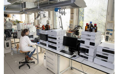 Immagine: 01 FEM Chimica degli alimenti 0148