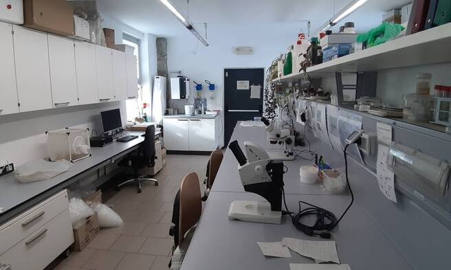 Immagine: 20221219_112751