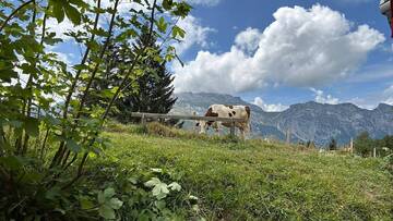 Viaggio studio in Valle d’Aosta per un progetto congiunto di valorizzazione dell’alpeggio