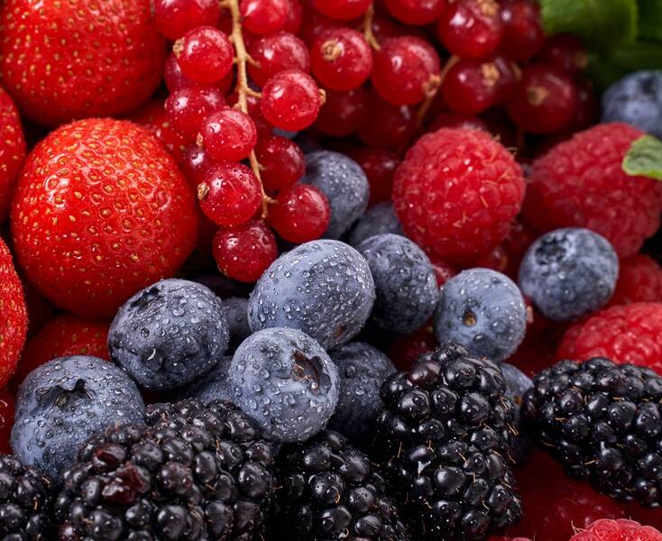 12a Giornata tecnica piccoli frutti