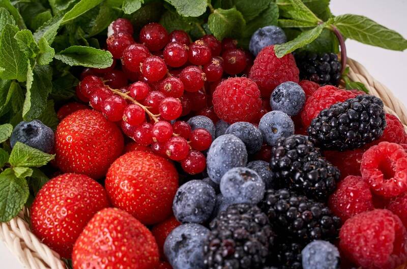 11a Giornata tecnica piccoli frutti