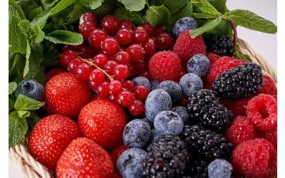 Immagine: berries-4692364_1920