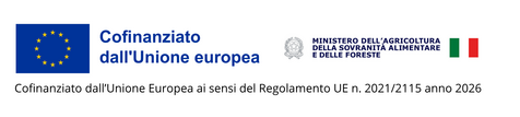 Immagine: Cofinanziato dall’Unione Europea ai sensi del Regolamento UE n. 20212115 anno 2026 (1)