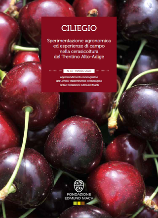 Immagine: copertina ciliegio