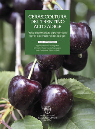Immagine: copertina