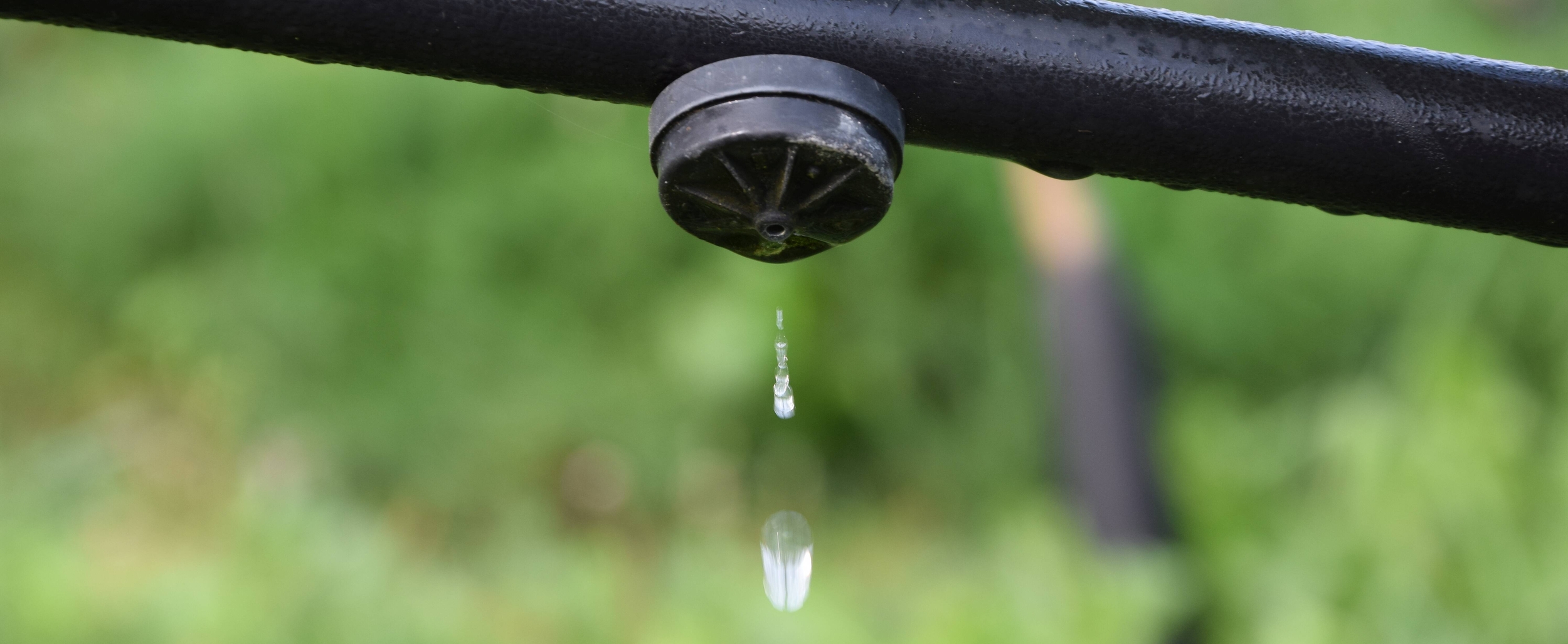 Immagine: DSC_0065