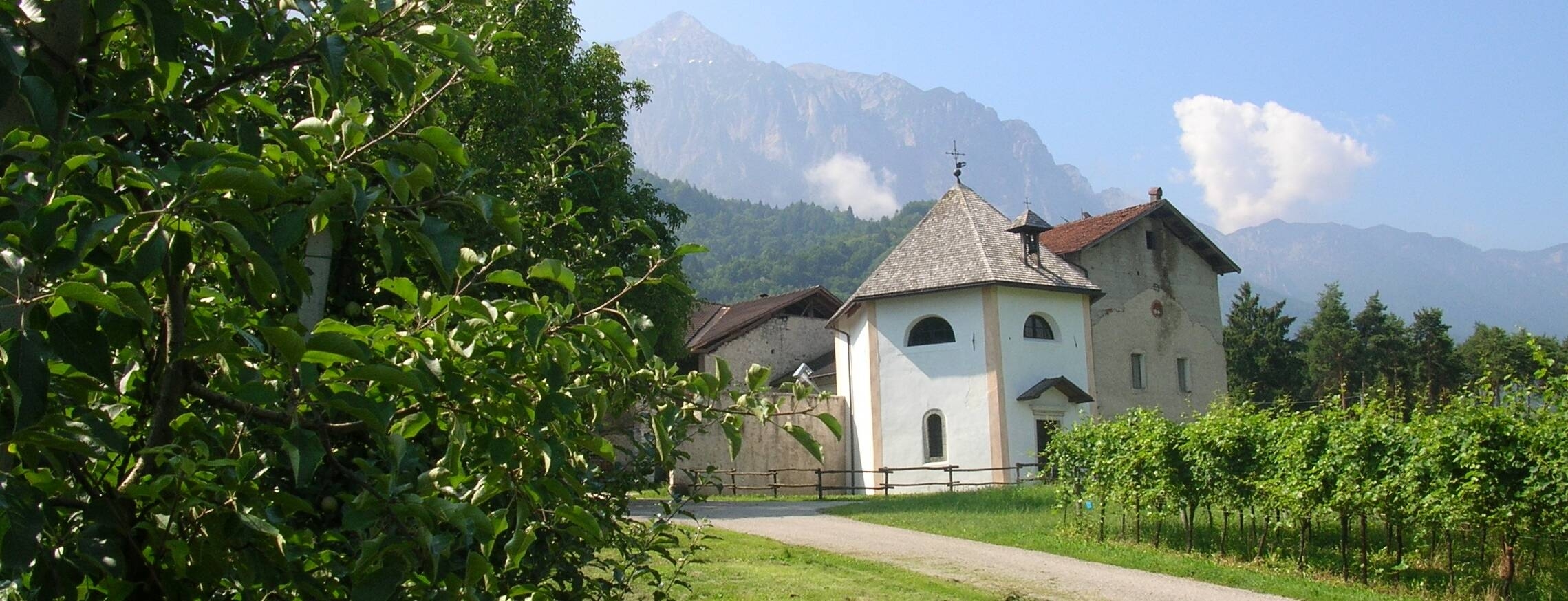 Immagine: DSCN9344