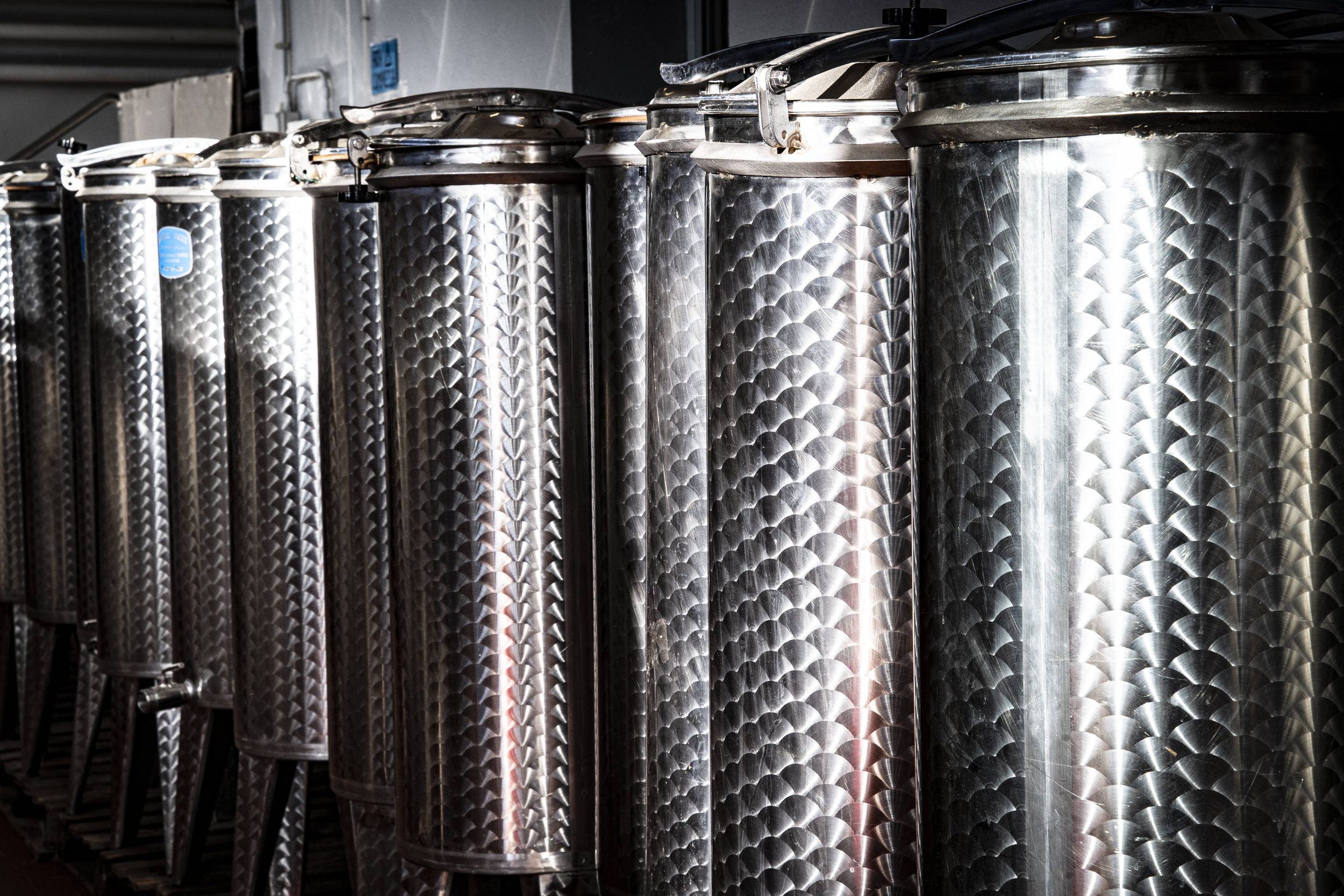 Immagine: FEM Cantina di Microvinificazione 3271
