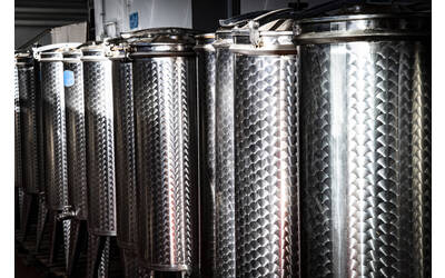 Immagine: FEM Cantina di Microvinificazione 3271