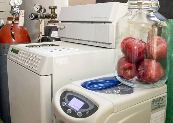 Immagine: FEM Frigoconservazione 3509