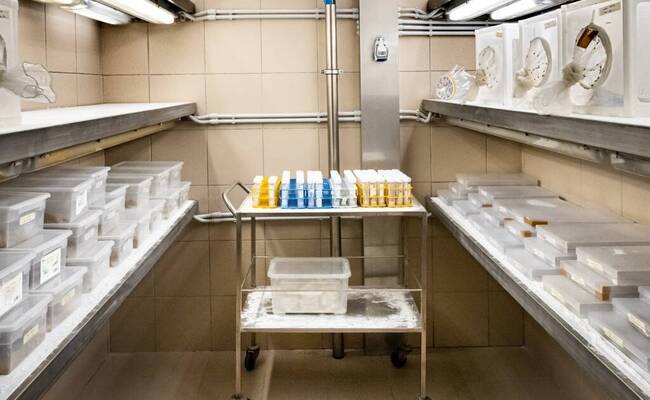 Immagine: FEM Laboratorio Diagnostica Fitopatologica 3957 LR
