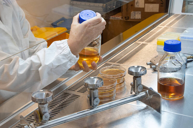 Laboratorio microbiologia alimentare
