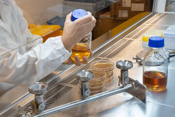 Immagine: FEM microbiologia 0921 LR
