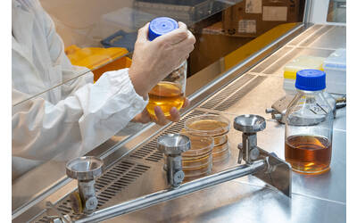 Immagine: FEM microbiologia 0921 LR