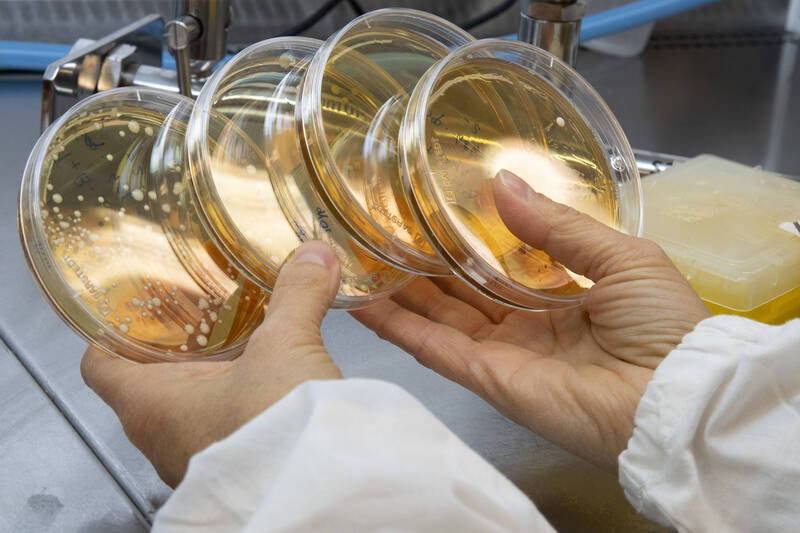 Servizio microbiologia alimentare