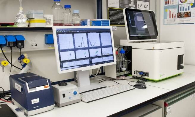 Immagine: FEM microbiologia 1011lq