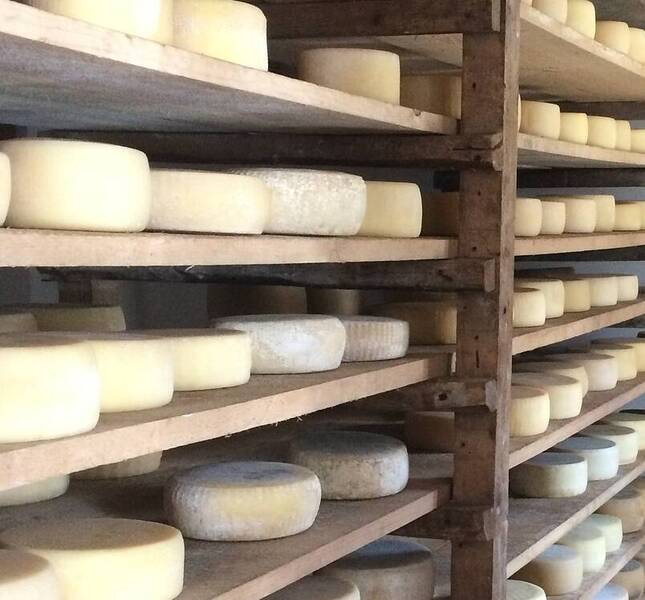 Consulenza caseificazione di malga