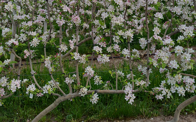 Immagine: IMG_20240415_080636561_HDR