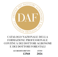 Immagine: Immagine 2026-07-27 130946