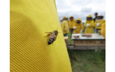 Immagine: Maremma Massa marittima 2018 PF