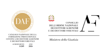 Immagine: Progetto senza titolo (25)