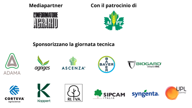 Immagine: Progetto senza titolo (7)