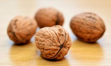 Immagine: walnuts-ge17474eeb_1920