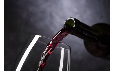 Immagine: wine-ge398e31f4_1920